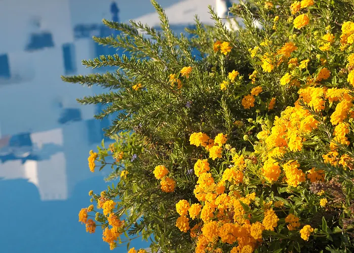 リゾート バライア ゴルフ ビレッジ アルブフェイラ