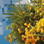 Resort Balaia Golf Village Albufeira