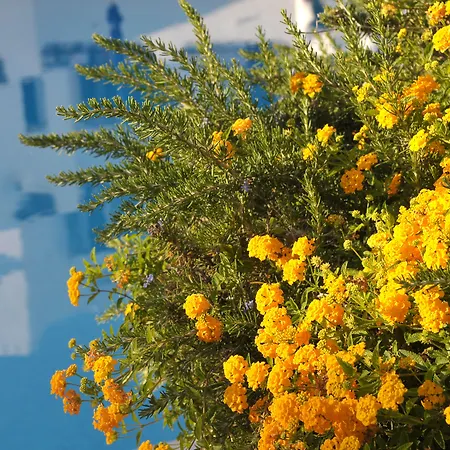 Курортний комплекс Balaia Golf Village Албуфейра